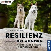 Resilienz bei Hunden