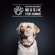 Beruhigende Musik für Hunde